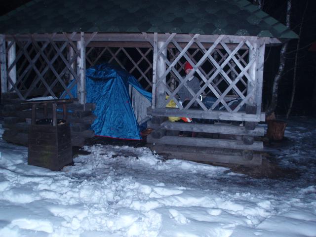 P3303366