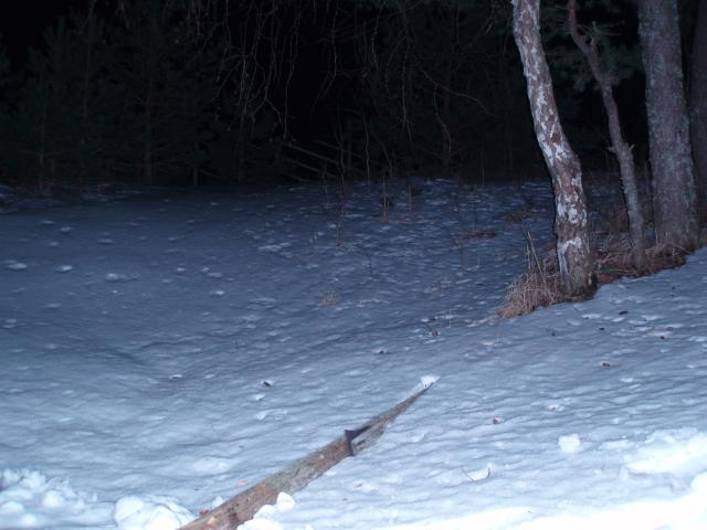 P3293359
