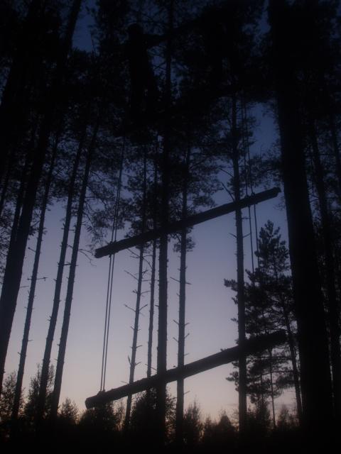 P8074761