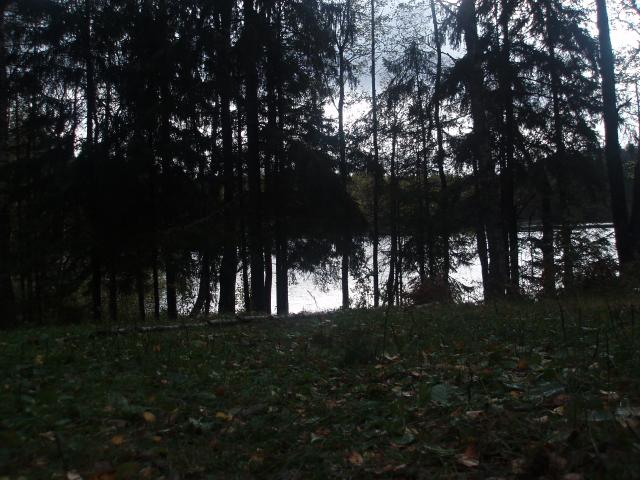 PA044977